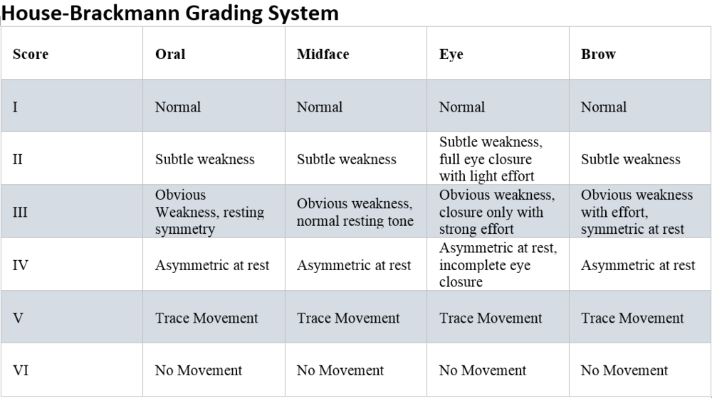Table

Description automatically generated
