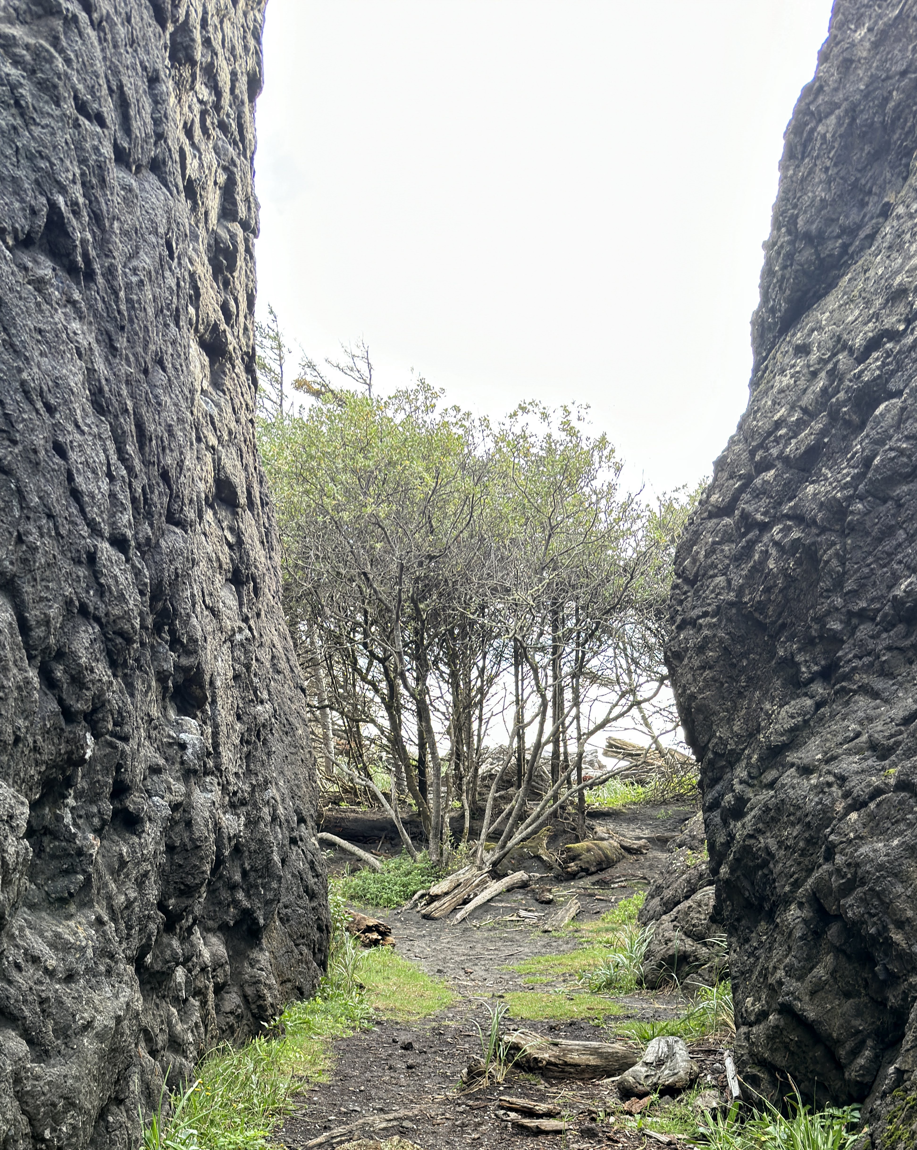 					View Vol. 5 No. 1 (2026): Finding Paths Through Clinical Gaps
				