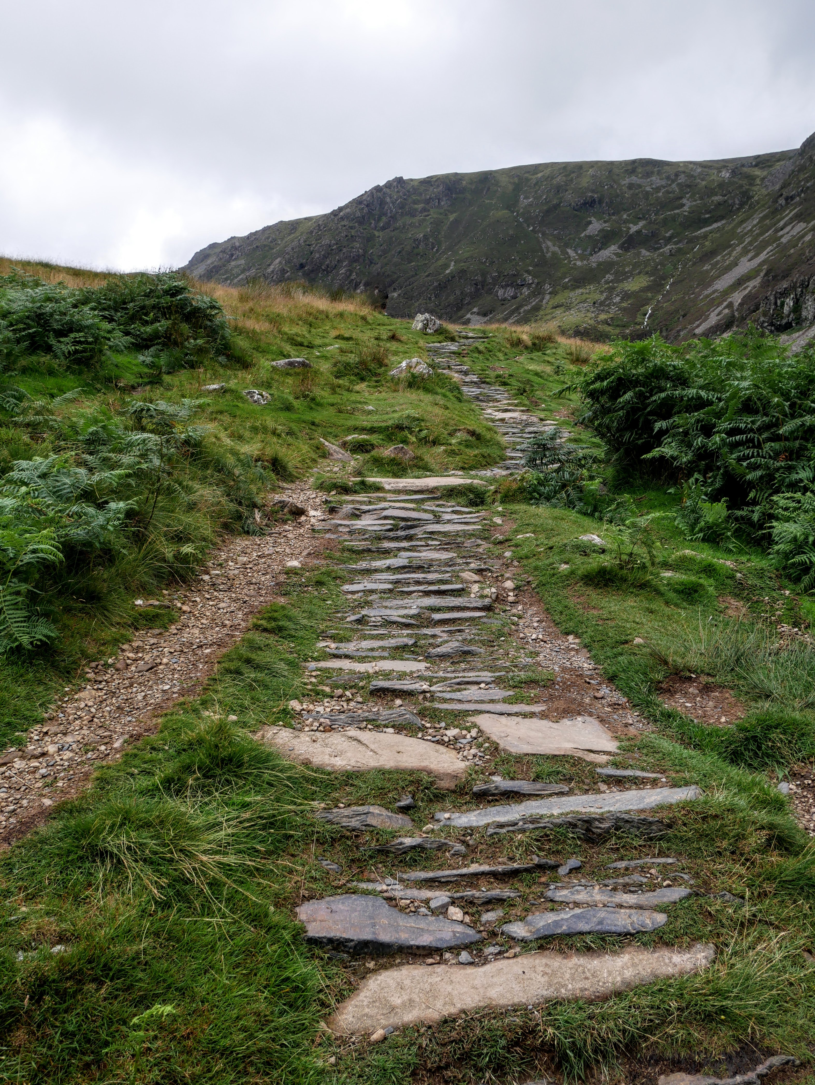 View Vol. 3 No. 2 (2024): Step By Step